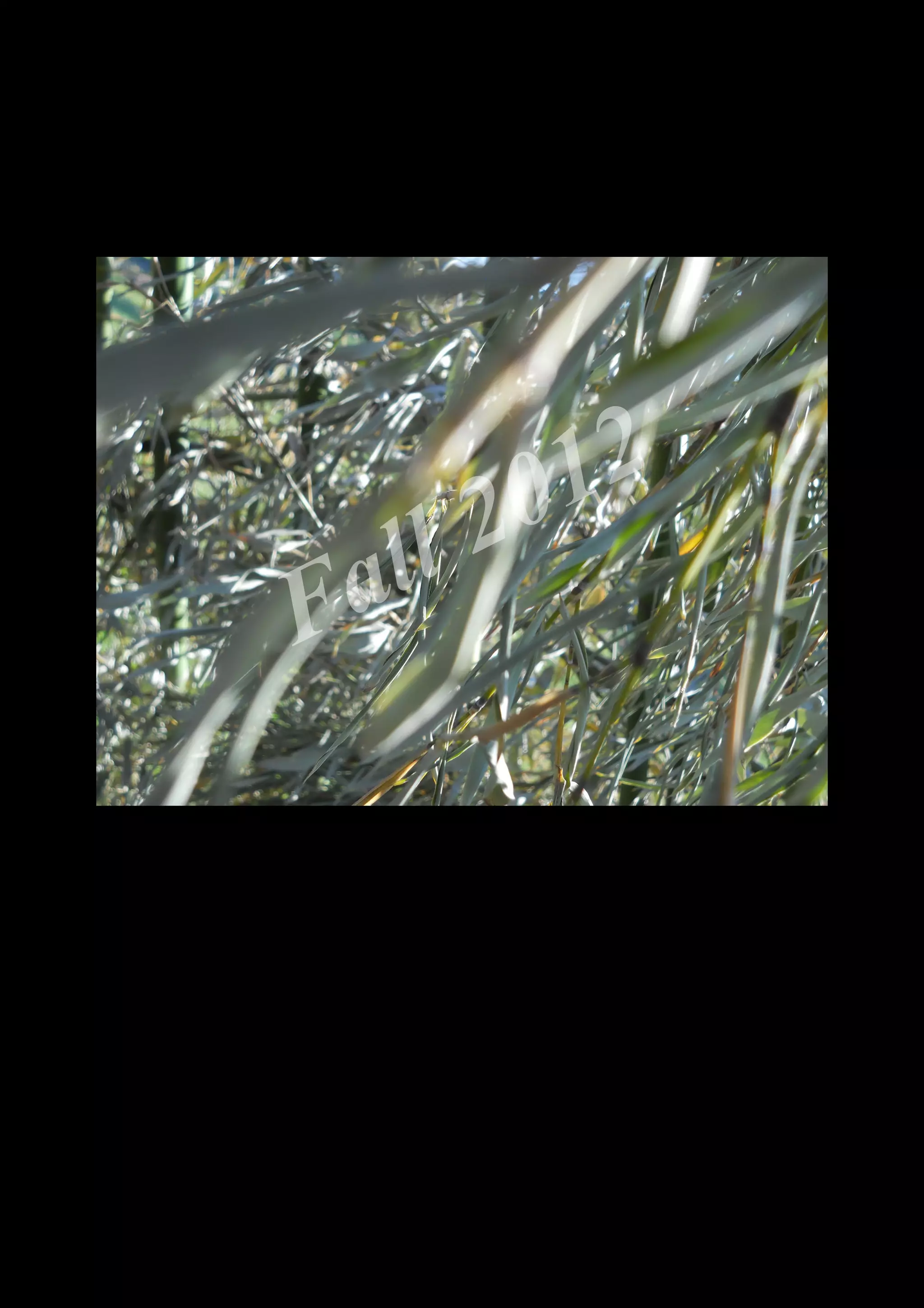 2 0 12
 a ll
F


    DSCN0364.JPG
 