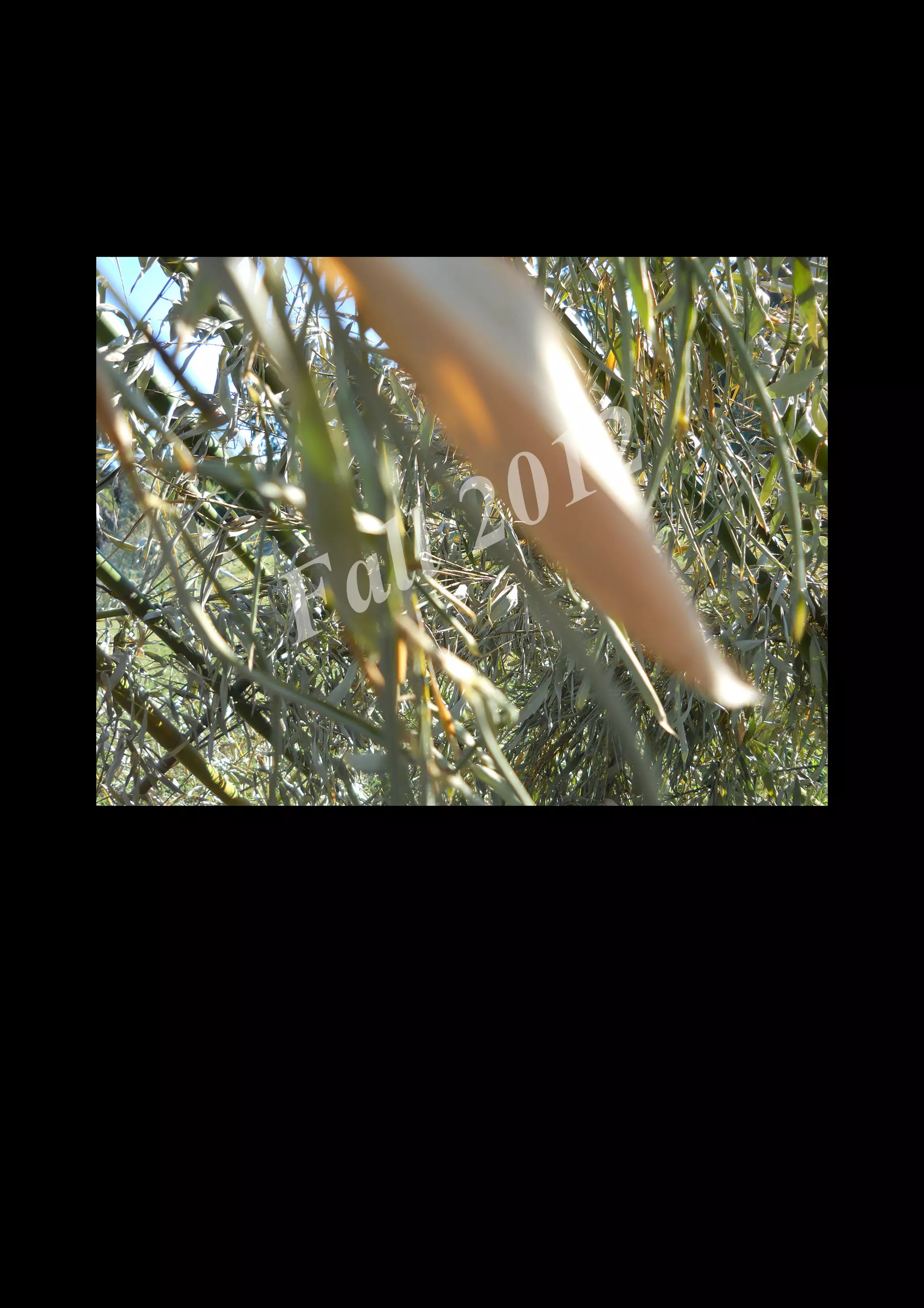 2 0 12
 a ll
F


    DSCN0365.JPG
 