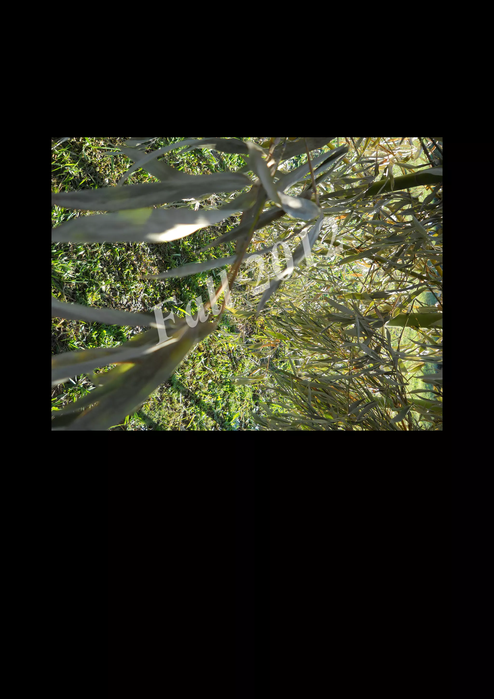 2 0 12
 a ll
F


    DSCN0366.JPG
 