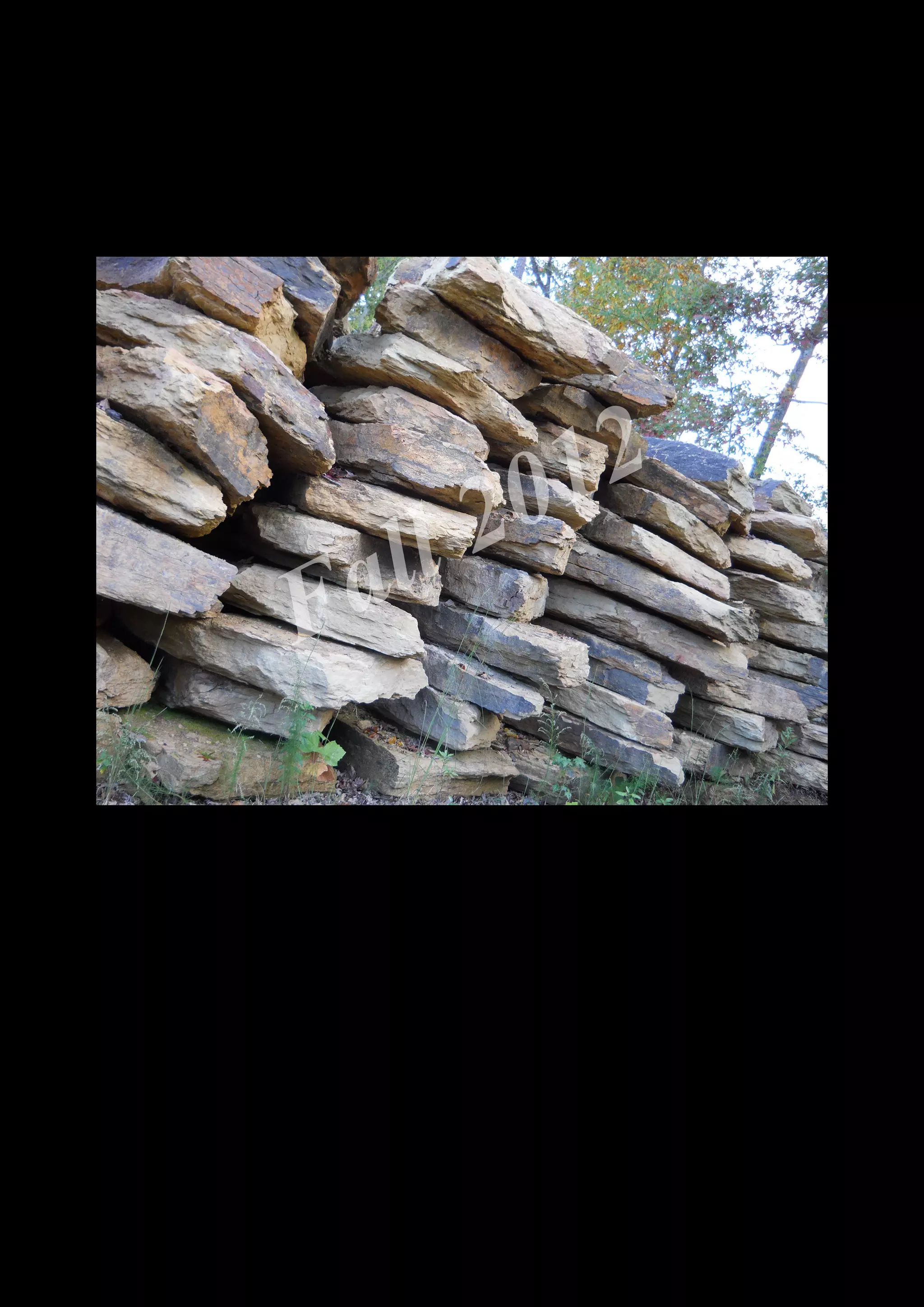 2 0 12
 a ll
F


    DSCN0384.JPG
 