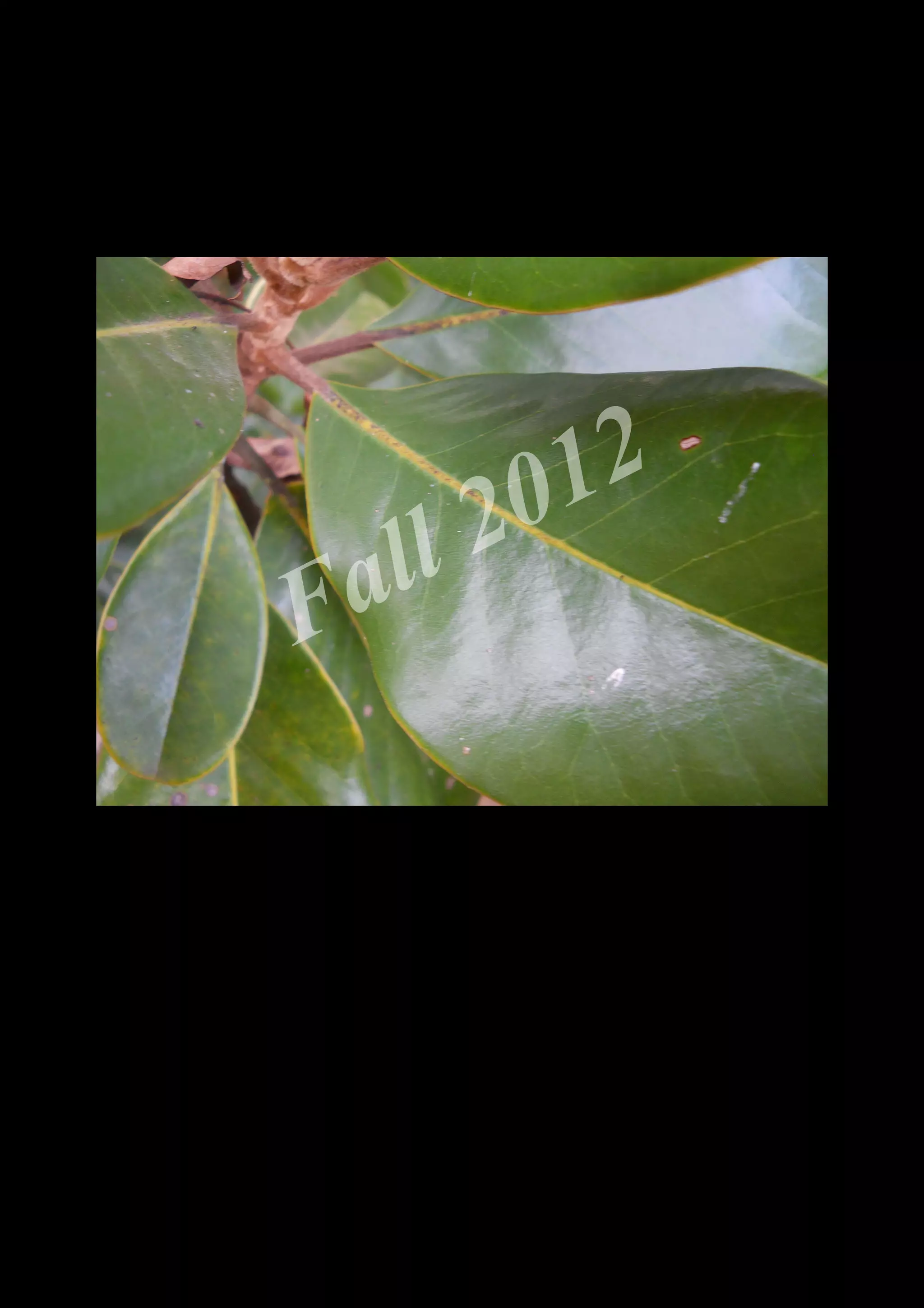 2 0 12
 a ll
F


    DSCN0489.JPG
 