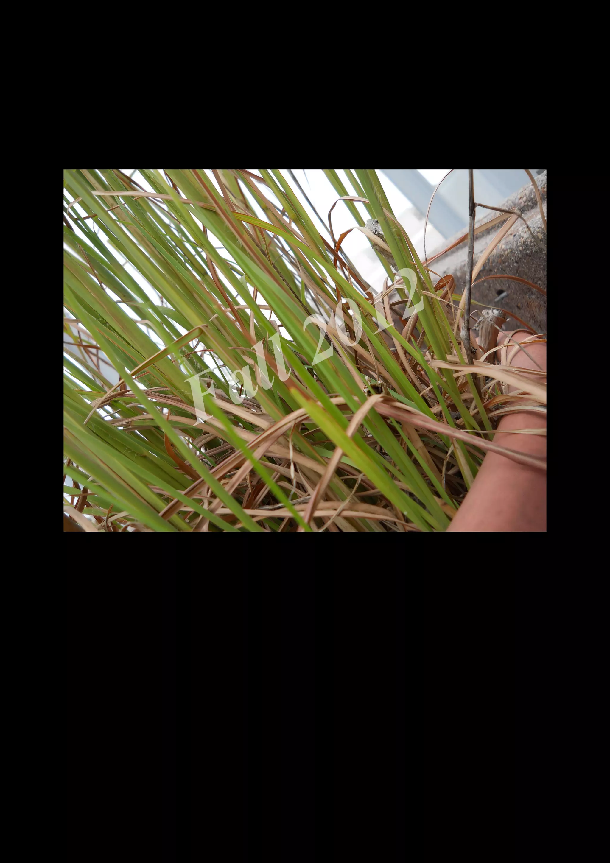 2 0 12
 a ll
F


    DSCN0028.JPG
 