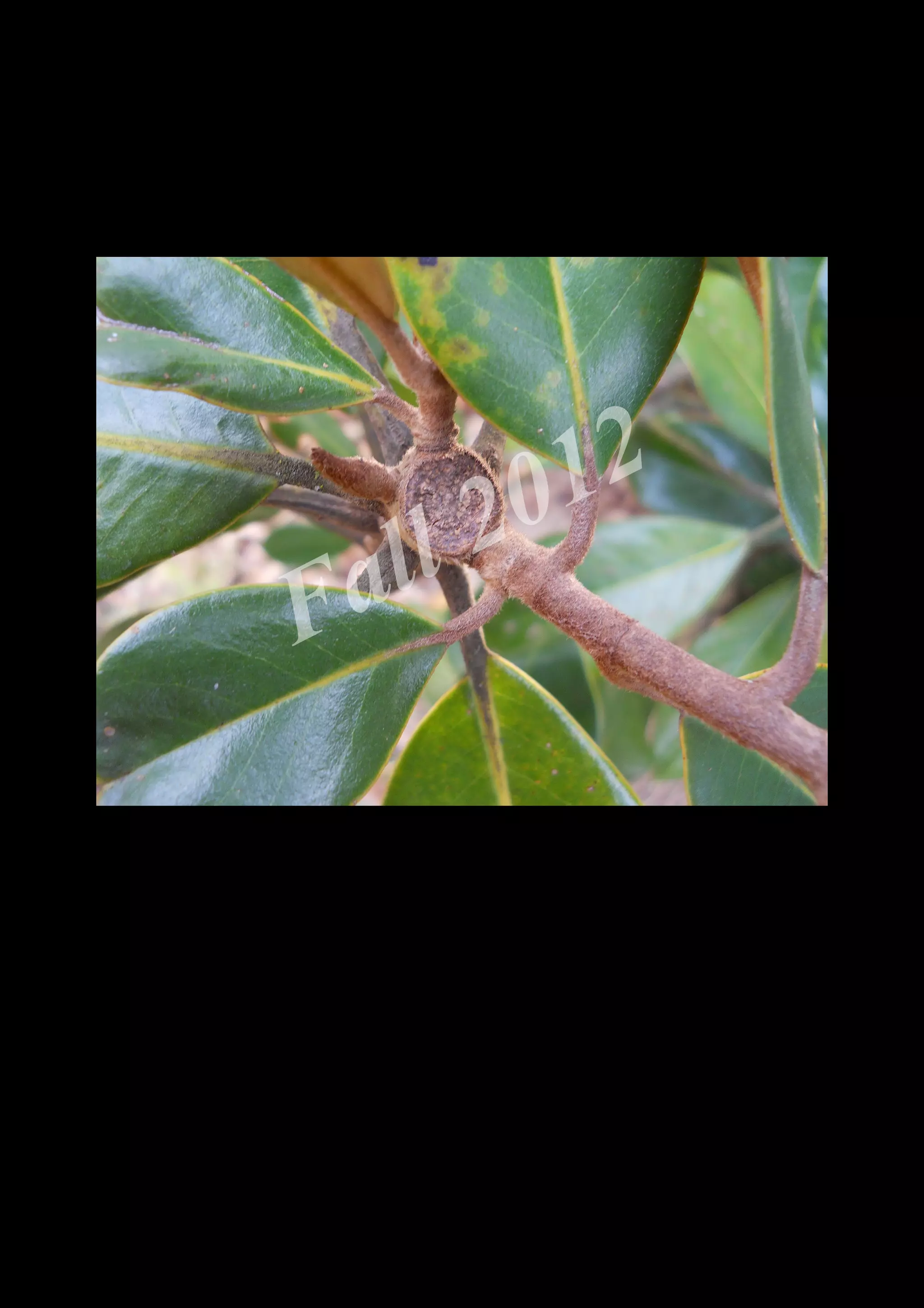 2 0 12
 a ll
F


    DSCN0490.JPG
 