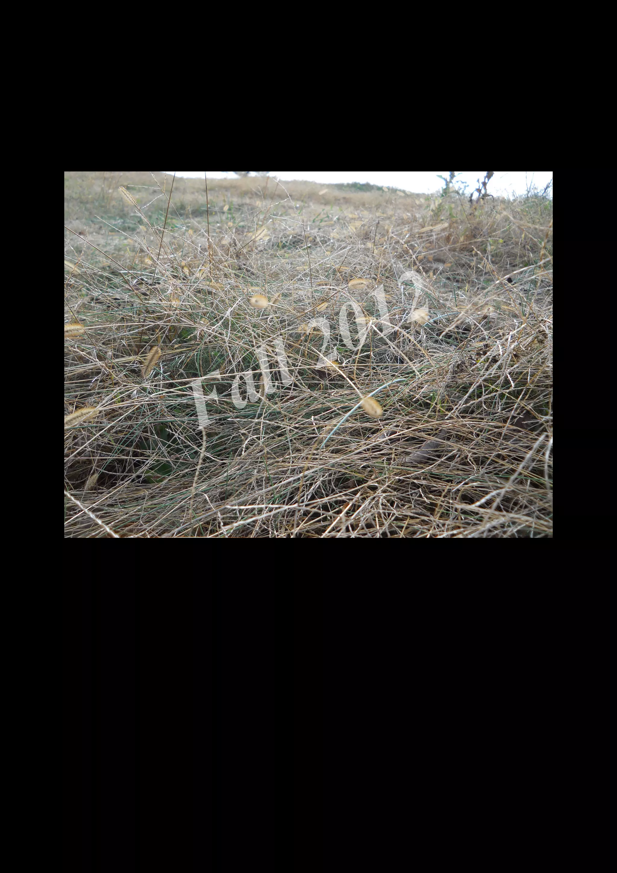 2 0 12
 a ll
F


    DSCN0494.JPG
 