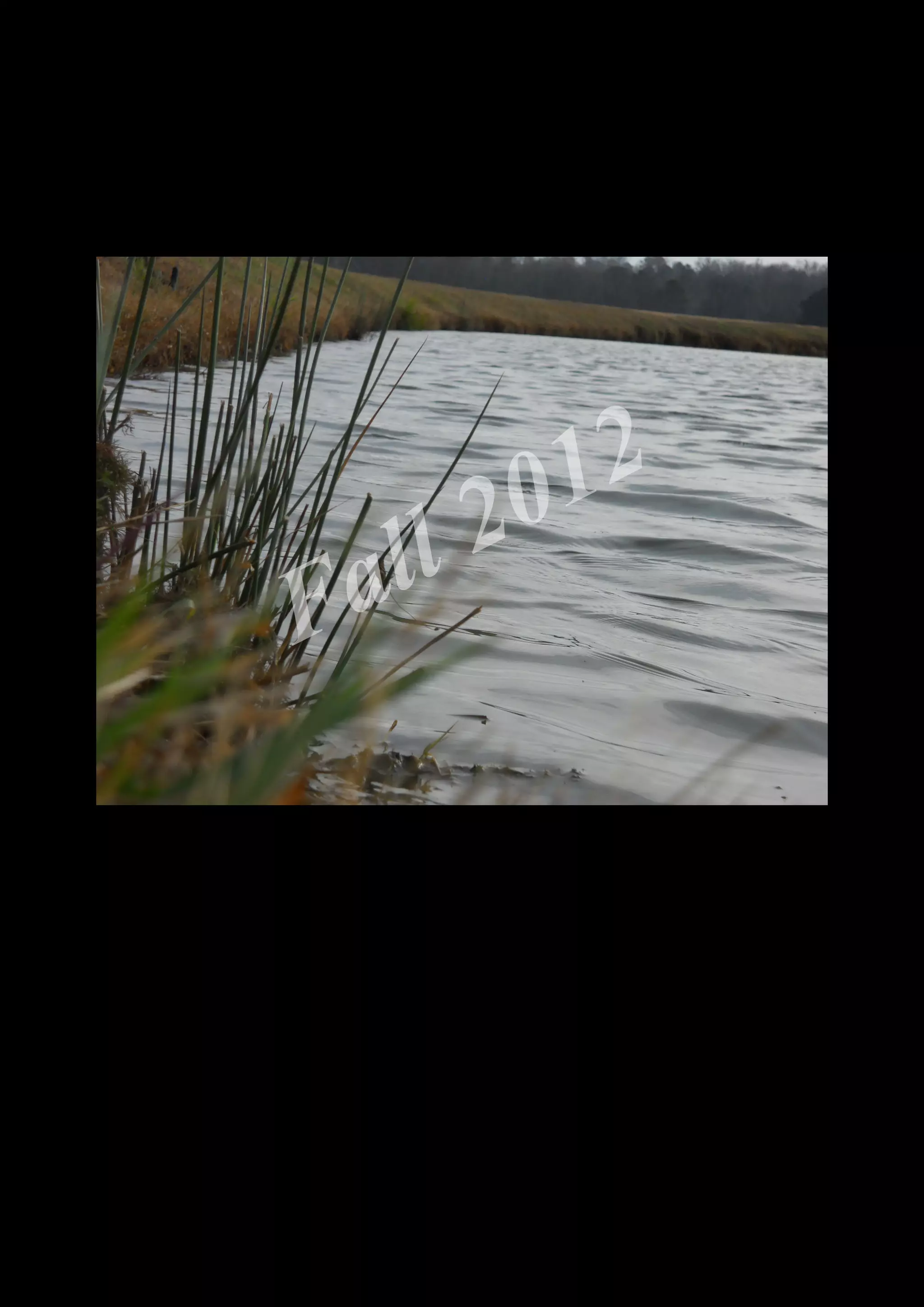 2 0 12
 a ll
F


    DSCN0508.JPG
 