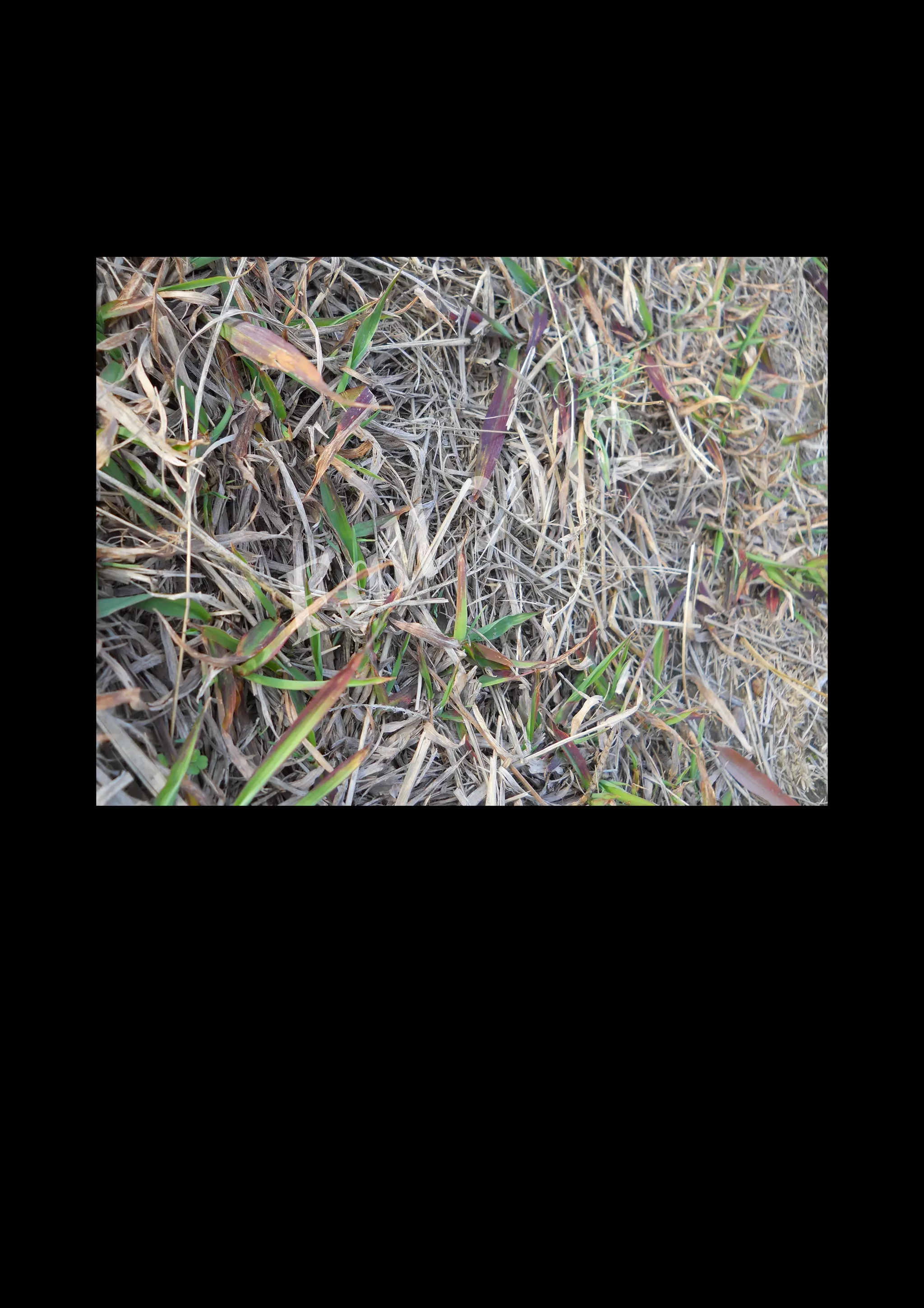 2 0 12
 a ll
F


    DSCN0517.JPG
 