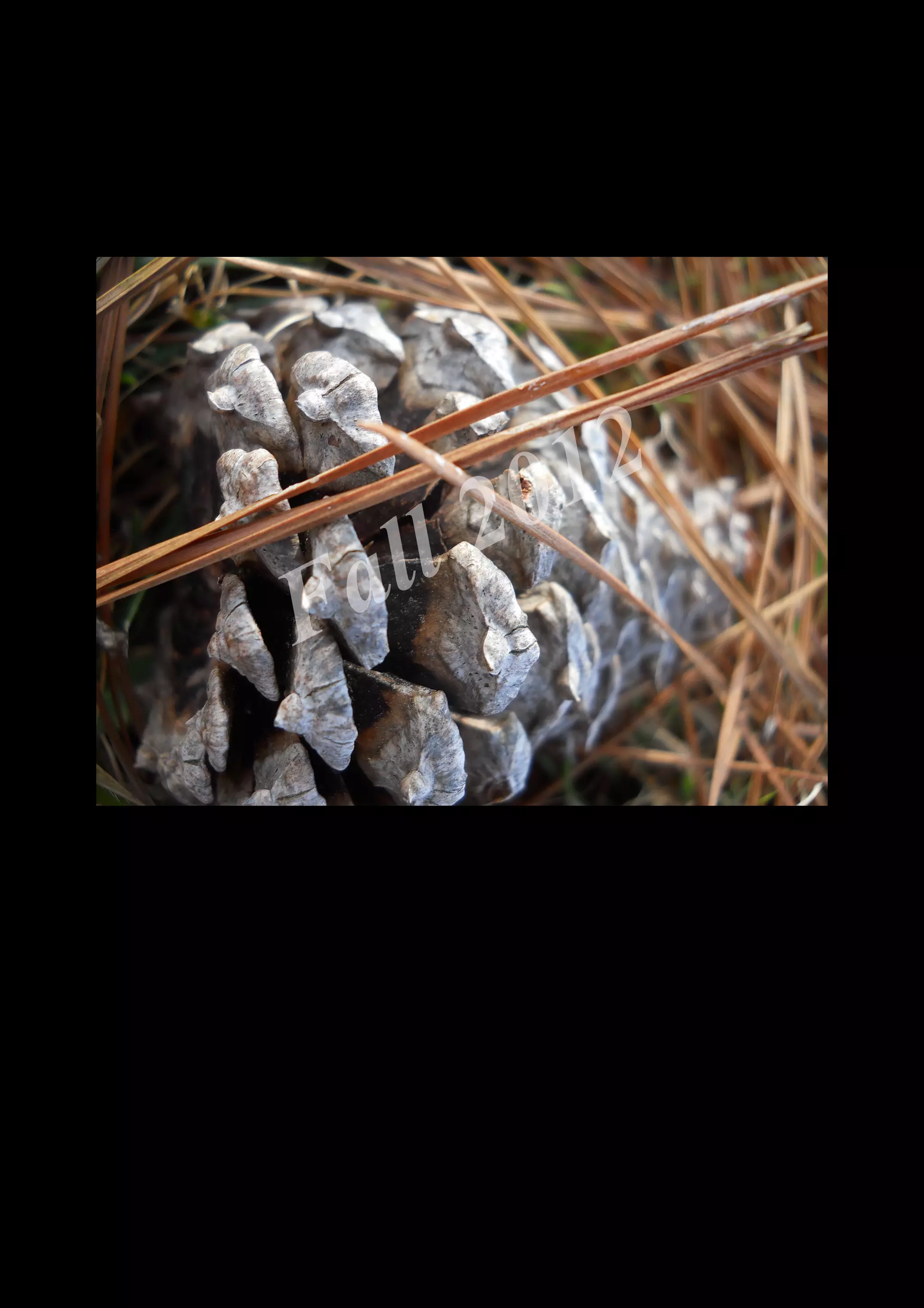 2 0 12
 a ll
F


    DSCN0521.JPG
 