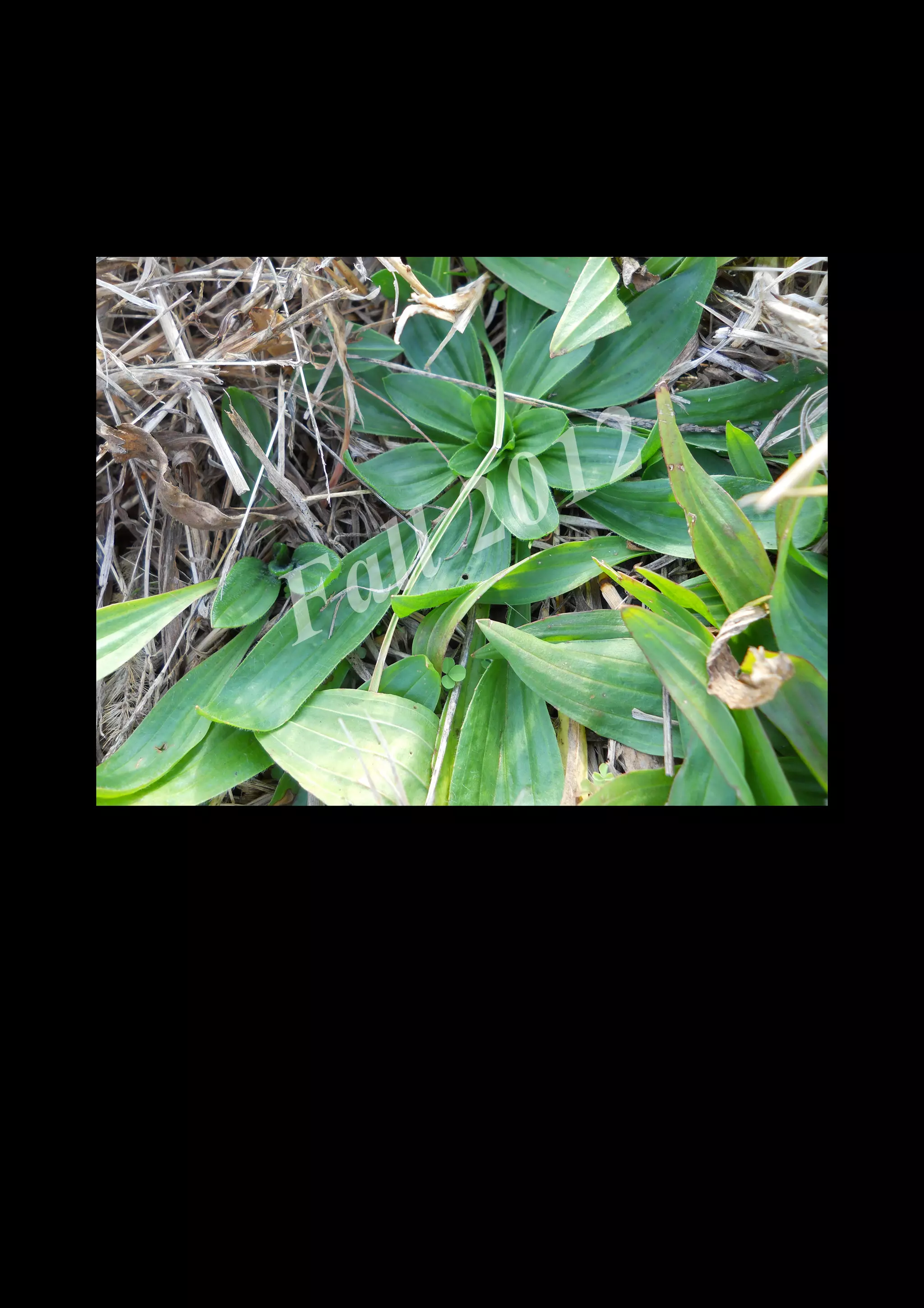 2 0 12
 a ll
F


    DSCN0525.JPG
 