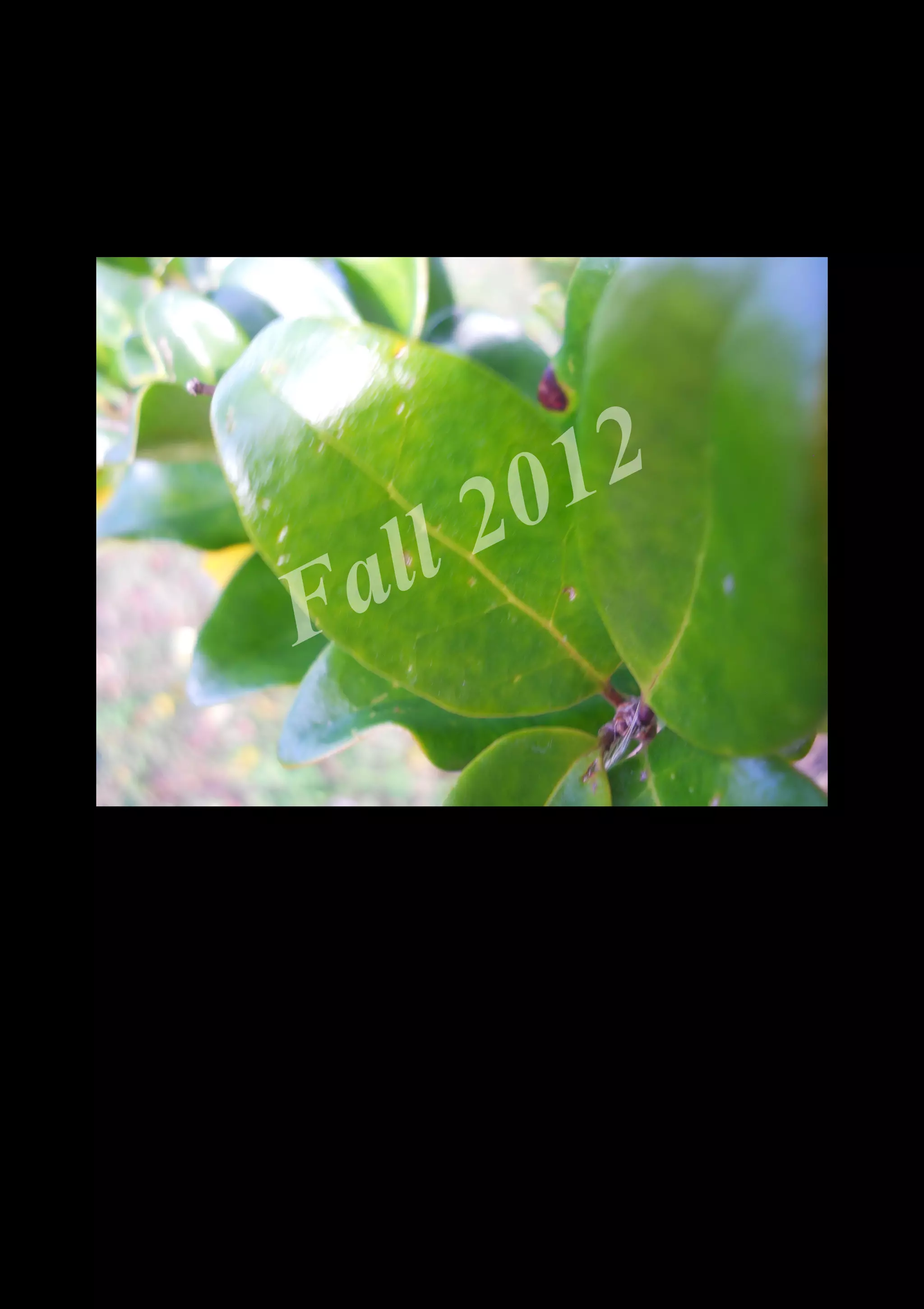 2 0 12
 a ll
F


    DSCN0550.JPG
 