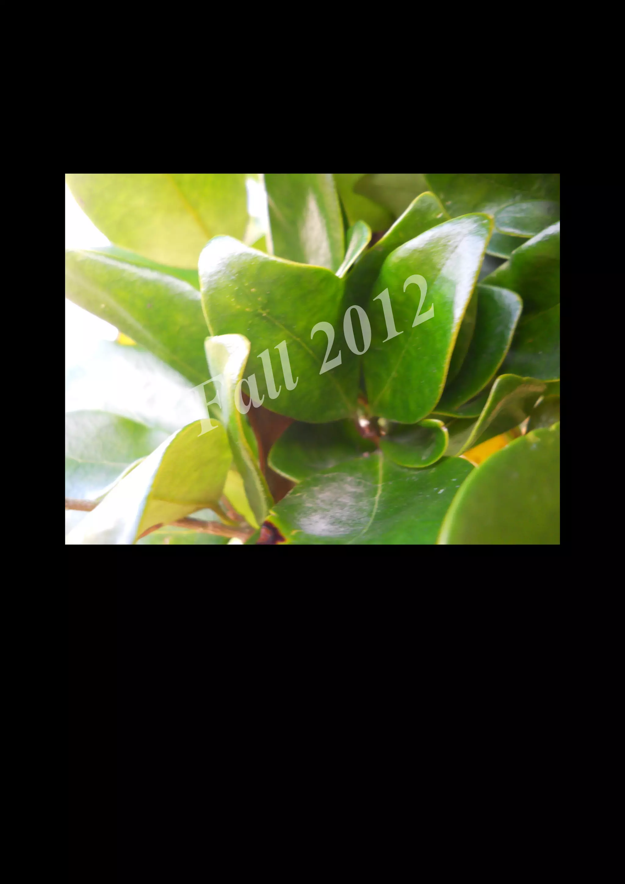 2 0 12
 a ll
F


    DSCN0552.JPG
 