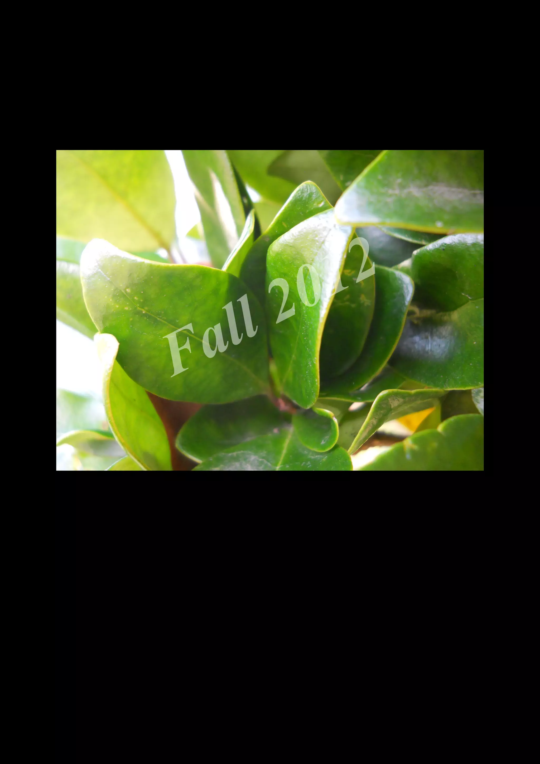 2 0 12
 a ll
F


    DSCN0553.JPG
 