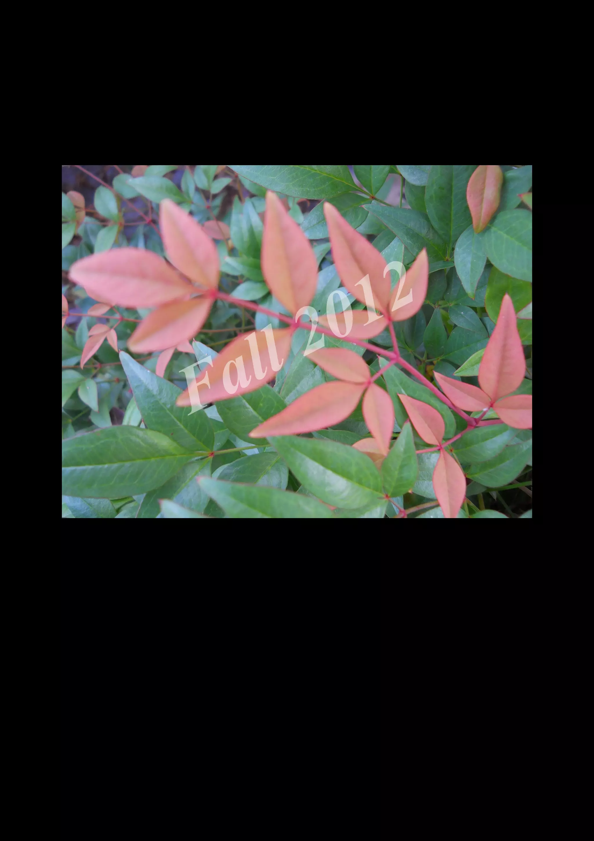 2 0 12
 a ll
F


    DSCN0554.JPG
 