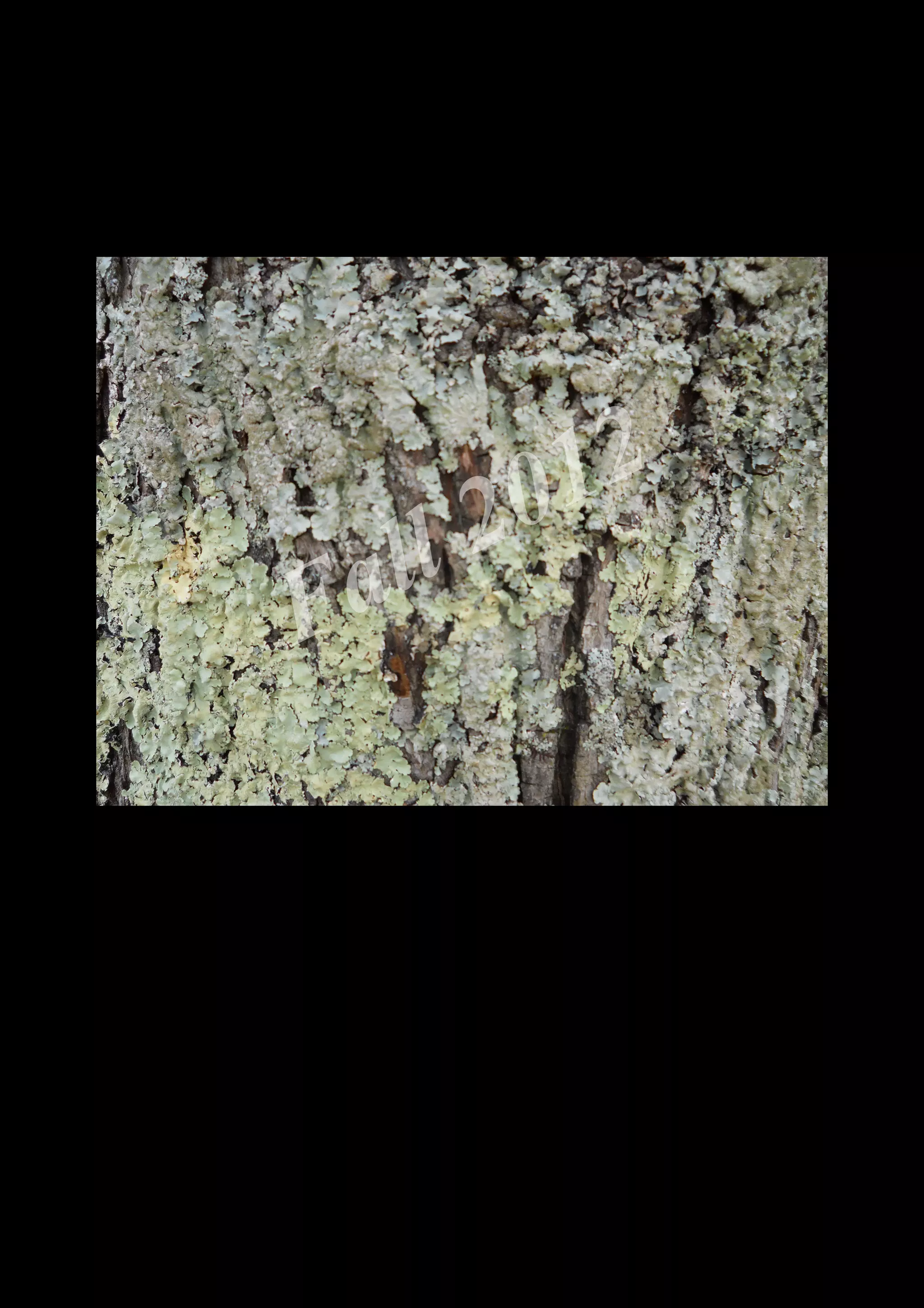 2 0 12
 a ll
F


    DSCN0083.JPG
 