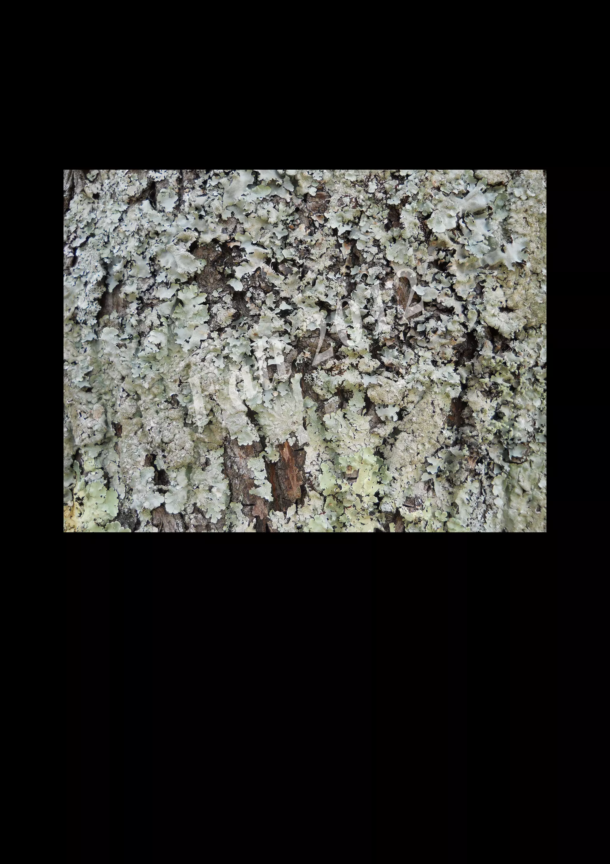 2 0 12
 a ll
F


    DSCN0084.JPG
 