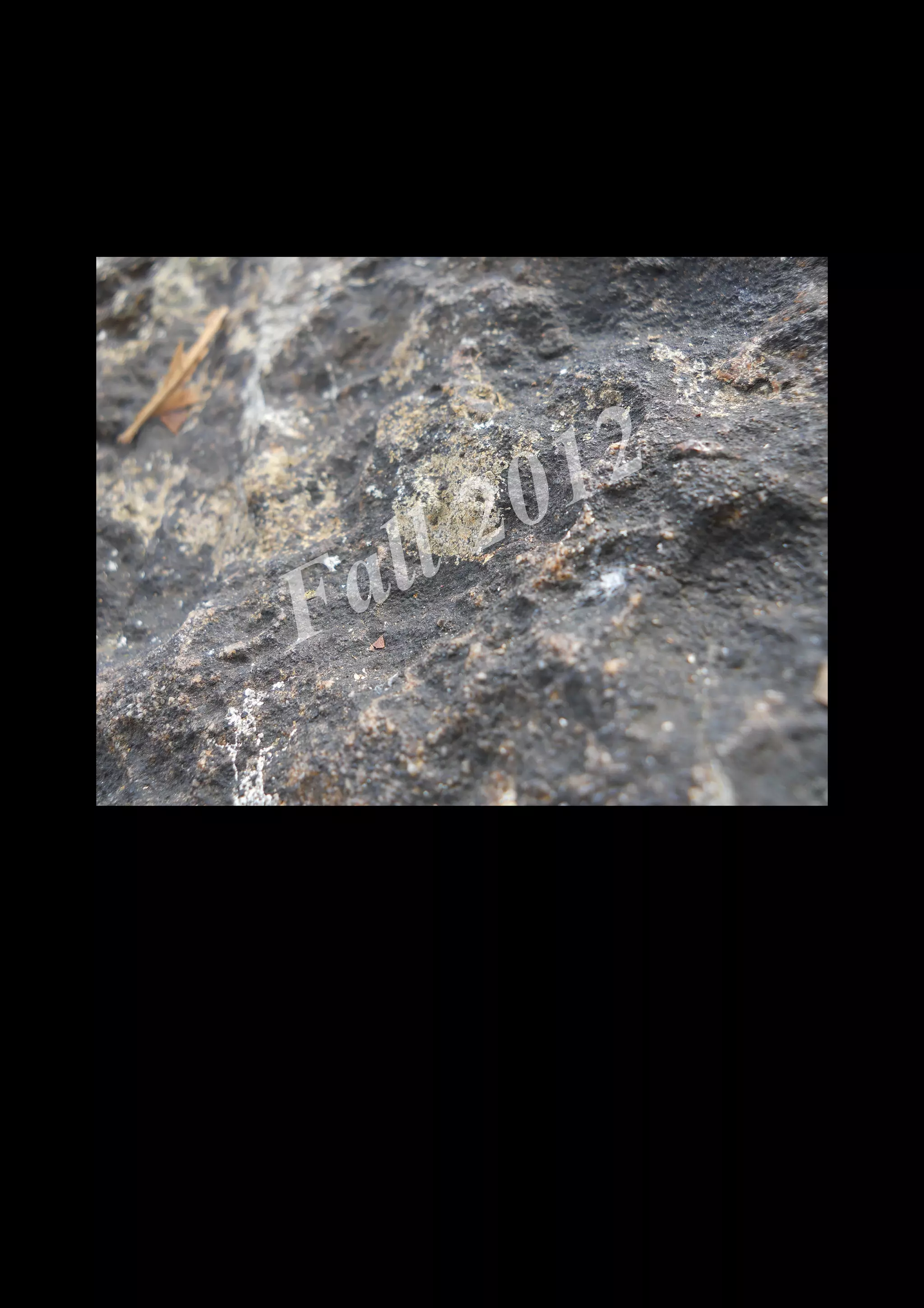 2 0 12
 a ll
F


    DSCN0085.JPG
 