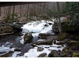 Chuck von Beck Cascades