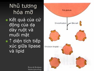 Nhũ tương
hóa mỡ
 KếtKết quảquả củacủa ccửử
độngđộng củacủa dạdạ
dàydày ruộtruột vàvà
muốimuối mậtmật
  diệndiện tíchtích tiếptiếp
xúcxúc giữagiữa lipaselipase
vàvà lipidlipid
Boron & Boulpaep
Medical physiology
 