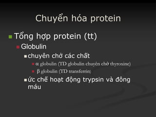 Chuyển hóa protein
 Tổng hợp protein (tt)
 Globulin
 chuyênchuyên chởchở cáccác chấtchất
  globulin (TD globulin(TD globulin chuyênchuyên chchởở thyroxinethyroxine))
  globulin (TD(TD transferrintransferrin))
 ứcức chếchế hoạthoạt độngđộng trypsintrypsin vàvà đôngđông
máumáu
 