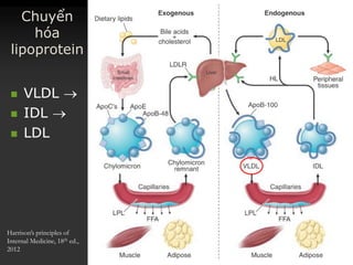 Chuyển
hóa
lipoprotein
 VLDLVLDL 
 IDLIDL 
 LDLLDL
Harrison’s principles of
Internal Medicine, 18th ed.,
2012
 