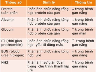 Thông số Sinh lý Thông tin
Protein
toàn phần
Phản ánh chức năng tổng
hợp protein của gan
 trong bệnh
gan nặng
Albumin Phản ánh chức năng tổng
hợp protein của gan
 trong bệnh
gan nặng
Globulin Phản ánh chức năng tổng
hợp protein của gan
 trong bệnh
gan mạn
PT (thời gian
prothrombin)
Phản ánh chức năng tổng
hợp yếu tố đông máu
 trong bệnh
gan nặng
BUN (blood
urea nitrogen)
Phản ánh chức năng tổng
hợp urê
 trong bệnh
gan nặng
NH3 Phản ảnh sự gián đoạn
trong chu trình thành lập
urê
 trong bệnh
gan nặng
 