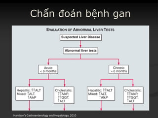 Chẩn đoán bệnh gan
Harrison’s Gastroenterology and Hepatology, 2010
 