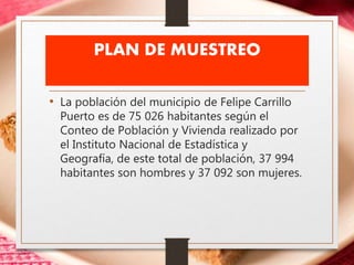 PLAN DE MUESTREO
• La población del municipio de Felipe Carrillo
Puerto es de 75 026 habitantes según el
Conteo de Población y Vivienda realizado por
el Instituto Nacional de Estadística y
Geografía, de este total de población, 37 994
habitantes son hombres y 37 092 son mujeres.
 
