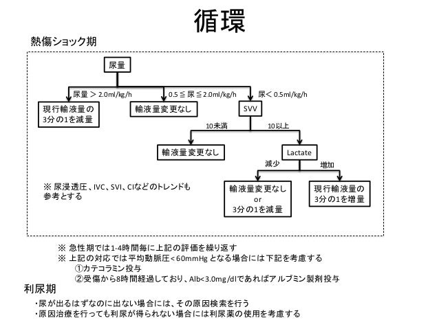 Chukyo Hospital Burn Protocol 18