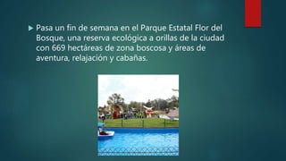  Pasa un fin de semana en el Parque Estatal Flor del
Bosque, una reserva ecológica a orillas de la ciudad
con 669 hectáreas de zona boscosa y áreas de
aventura, relajación y cabañas.
 