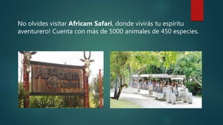 No olvides visitar Africam Safari, donde vivirás tu espíritu
aventurero! Cuenta con más de 5000 animales de 450 especies.
 