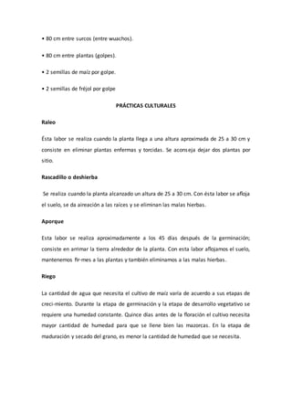 • 80 cm entre surcos (entre wuachos).
• 80 cm entre plantas (golpes).
• 2 semillas de maíz por golpe.
• 2 semillas de fréjol por golpe
PRÁCTICAS CULTURALES
Raleo
Ésta labor se realiza cuando la planta llega a una altura aproximada de 25 a 30 cm y
consiste en eliminar plantas enfermas y torcidas. Se aconseja dejar dos plantas por
sitio.
Rascadillo o deshierba
Se realiza cuando la planta alcanzado un altura de 25 a 30 cm. Con ésta labor se aﬂoja
el suelo, se da aireación a las raíces y se eliminan las malas hierbas.
Aporque
Esta labor se realiza aproximadamente a los 45 días después de la germinación;
consiste en arrimar la tierra alrededor de la planta. Con esta labor aﬂojamos el suelo,
mantenemos ﬁr-mes a las plantas y también eliminamos a las malas hierbas.
Riego
La cantidad de agua que necesita el cultivo de maíz varía de acuerdo a sus etapas de
creci-miento. Durante la etapa de germinación y la etapa de desarrollo vegetativo se
requiere una humedad constante. Quince días antes de la ﬂoración el cultivo necesita
mayor cantidad de humedad para que se llene bien las mazorcas. En la etapa de
maduración y secado del grano, es menor la cantidad de humedad que se necesita.
 