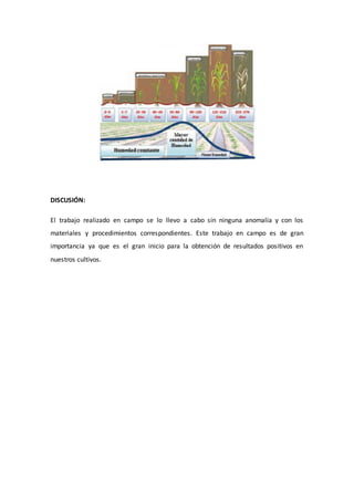 DISCUSIÓN:
El trabajo realizado en campo se lo llevo a cabo sin ninguna anomalía y con los
materiales y procedimientos correspondientes. Este trabajo en campo es de gran
importancia ya que es el gran inicio para la obtención de resultados positivos en
nuestros cultivos.
 