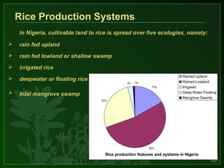 Rice Production Systems
In Nigeria, cultivable land to rice is spread over five ecologies, namely:
 rain fed upland
 rain fed lowland or shallow swamp
 irrigated rice
 deepwater or floating rice and
 tidal mangrove swamp
Rice production features and systems in Nigeria
17%
52%
27%
3% 1%
Rained Upland
Rained Lowland
Irrigated
Deep Water Floating
Mangrove Swamp
 