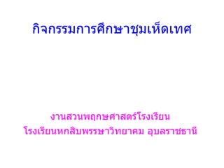 กิจกรรมการศึกษาชุมเห็ดเทศ งานสวนพฤกษศาสตร์โรงเรียน โรงเรียนหกสิบพรรษาวิทยาคม อุบลราชธานี 