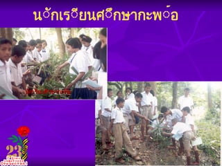 นักเรียนศึกษากะพ้อ นักเรียนศึกษากะพ้อ 