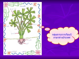 ภาษาต่างประเทศ กลุ่มสาระการเรียนรู้ภาษาต่างประเทศ 