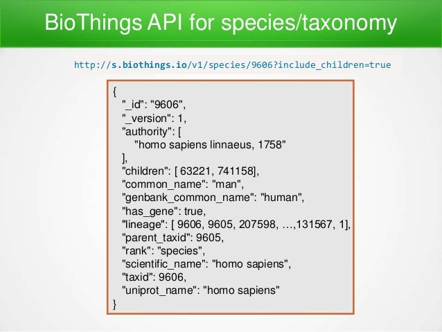 web services annotations web services annotations