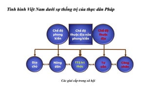 Tình hình Việt Nam dưới sự thống trị của thực dân Pháp
Các giai cấp trong xã hội
 