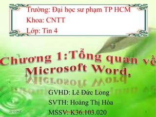 Trường: Đại học sư phạm TP HCM
Khoa: CNTT
Lớp: Tin 4

22/12/2013

GVHD: Lê Đức Long
SVTH: Hoàng Thị Hòa
MSSV: K36.103.020
Tổng quan về Microsoft Word

1

 
