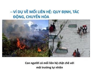 –VÍ DỤ VỀ MỐI LIÊN HỆ: QUY ĐỊNH, TÁC
ĐỘNG, CHUYỂN HÓA
Con người có mối liên hệ chặt chẽ với
môi trường tự nhiên
 