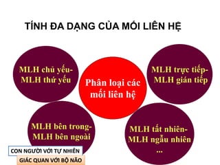 Phân loại các
mối liên hệ
MLH tất nhiên-
MLH ngẫu nhiên
...
MLH chủ yếu-
MLH thứ yếu
MLH bên trong-
MLH bên ngoài
MLH trực tiếp-
MLH gián tiếp
TÍNH ĐA DẠNG CỦA MỐI LIÊN HỆ
CON NGƯỜI VỚI TỰ NHIÊN
GIÁC QUAN VỚI BỘ NÃO
 