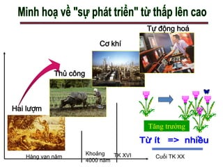 Tăng trưởng
Hàng vạn năm
Khoảng
4000 năm
TK XVI
Hai lượm
Thủ công
Cơ khí
Tự động hoá
Cuối TK XX
 