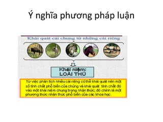 Ý nghĩa phương pháp luận
 