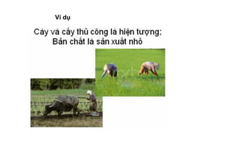 Ví dụ
 