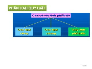 63/46
PHÂN LOẠI QUY LuẬT
 