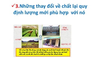 3.Những thay đổi về chất lại quy
định lượng mới phù hợp với nó
 