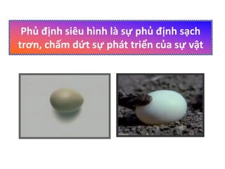 Phủ định siêu hình là sự phủ định sạch
trơn, chấm dứt sự phát triển của sự vật
 