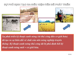 84/46
Sù ph¸t triÓn kü thuËt canh n«ng (tõ thñ c«ng ®Õn c¬ giíi hãa)
®· t¹o ra sù biÕn ®æi vÒ chÊt cña nÒn n«ng nghiÖp truyÒn
thèng: Kü thuËt canh n«ng thñ c«ng ®· bÞ phñ ®Þnh bëi kü
thuËt canh n«ng míi – c¬ giíi hãa.
 
