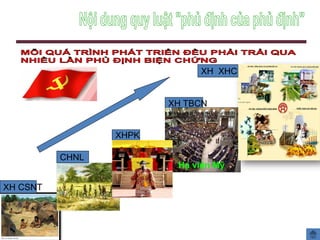 XH TBCN
XH CSNT
CHNL
XHPK
XH XHCN
Hạ viện Mỹ
CĐ
KHÓA 8
 