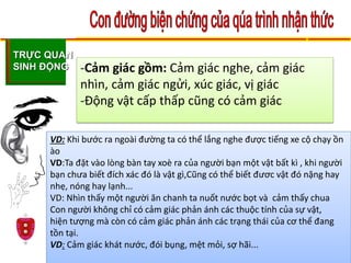 TRỰC QUAN
SINH ĐỘNG
CĐ
KHÓA 8
-Cảm giác gồm: Cảm giác nghe, cảm giác
nhìn, cảm giác ngửi, xúc giác, vị giác
-Động vật cấp thấp cũng có cảm giác
VD: Khi bước ra ngoài đường ta có thể lắng nghe được tiếng xe cộ chạy ồn
ào
VD:Ta đặt vào lòng bàn tay xoè ra của người bạn một vật bất kì , khi người
bạn chưa biết đích xác đó là vật gì,Cũng có thể biết đươc vật đó nặng hay
nhẹ, nóng hay lạnh...
VD: Nhìn thấy một người ăn chanh ta nuốt nước bọt và cảm thấy chua
Con người không chỉ có cảm giác phản ánh các thuộc tính của sự vật,
hiện tượng mà còn có cảm giác phản ánh các trạng thái của cơ thể đang
tồn tại.
VD: Cảm giác khát nước, đói bụng, mệt mỏi, sợ hãi...
 