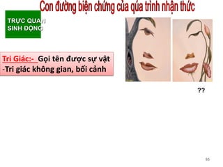 95
??
TRỰC QUAN
SINH ĐỘNG
Tri Giác:- Gọi tên được sự vật
-Tri giác không gian, bối cảnh
 